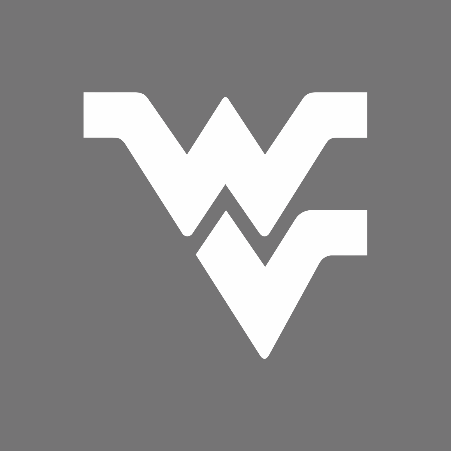 West Virginia Mountaineers 1980-Pres White Alternate Logo v5 iron on transfers for T-shirts